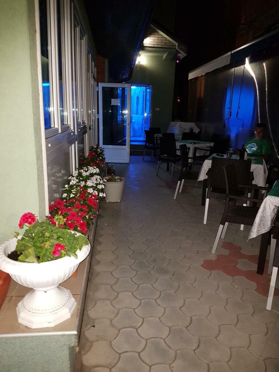 Golden Danube Bed and Breakfast Veliko Gradište Buitenkant foto