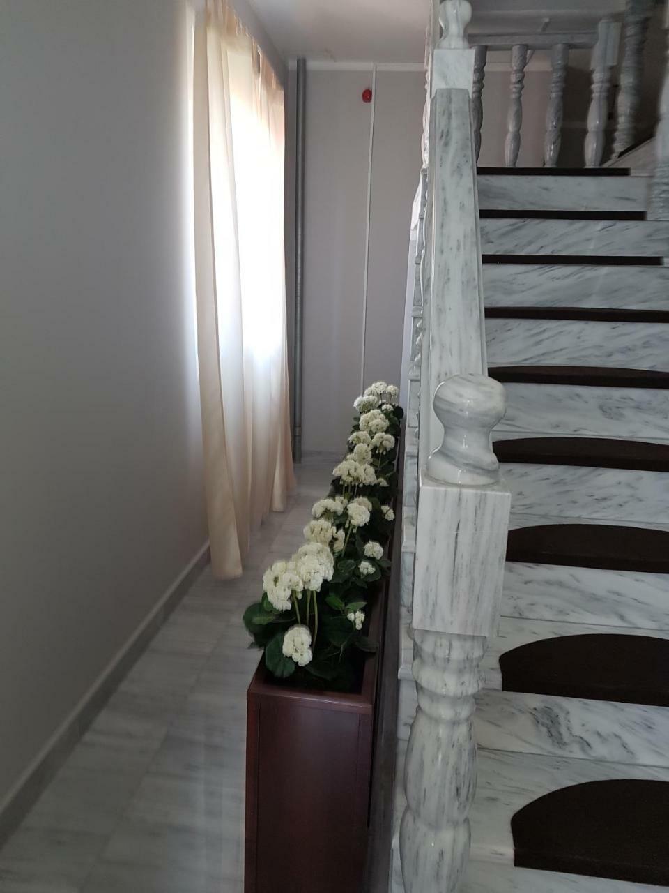 Golden Danube Bed and Breakfast Veliko Gradište Buitenkant foto